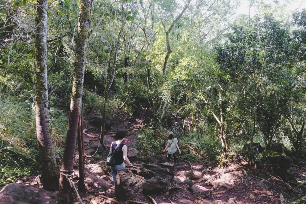 エフカイピルボックスの急斜面